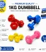 1kg Premium Quality Dumbbell for Home Workout